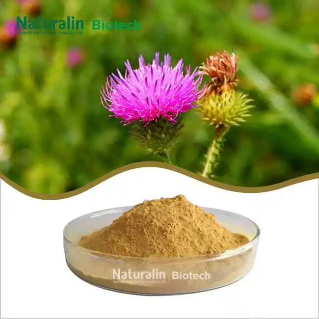 Milk Thistle Extract Powder